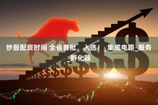 炒股配资时间 全省首批，入选！_集成电路_服务_孵化器